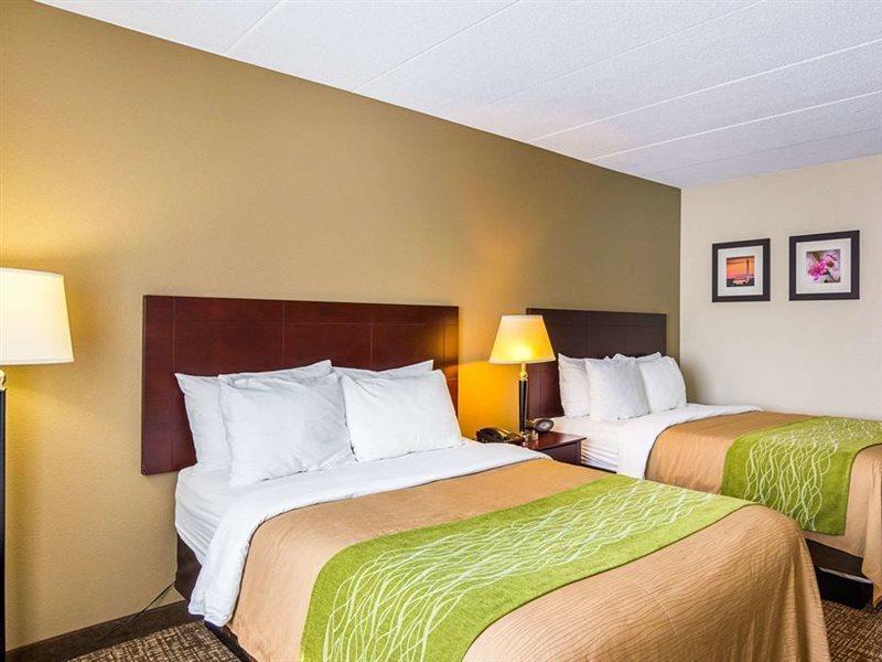 Comfort Herndon-reston Herndon